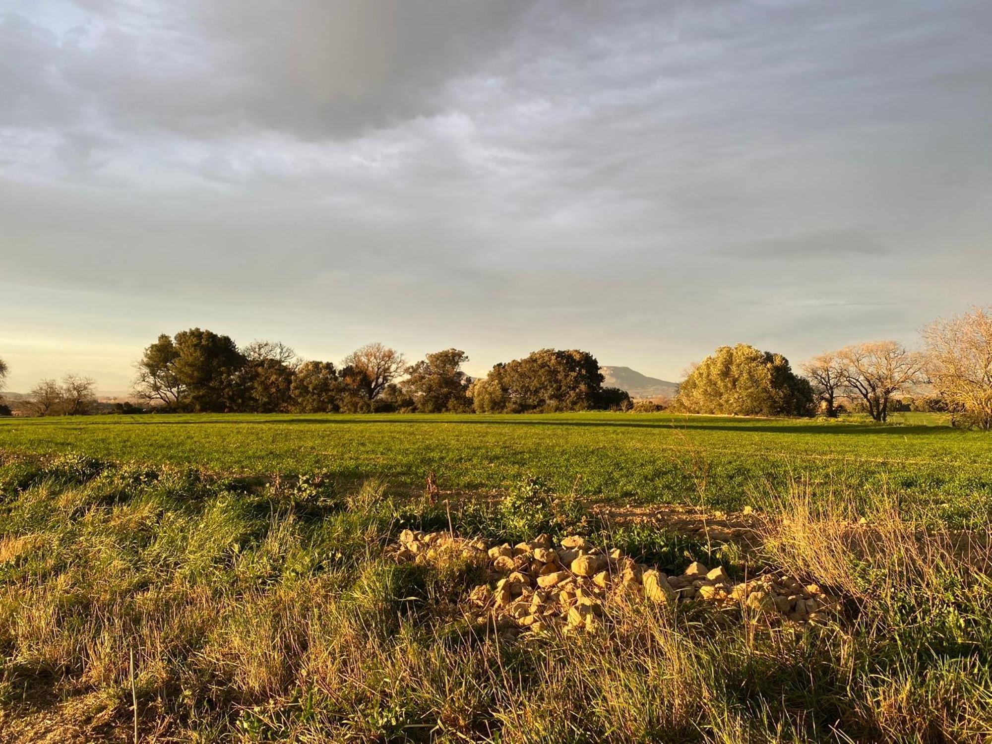 Moderno En Empordà Golf